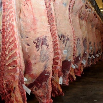 Karkas Et Ürünleri Etiket Çözümleri